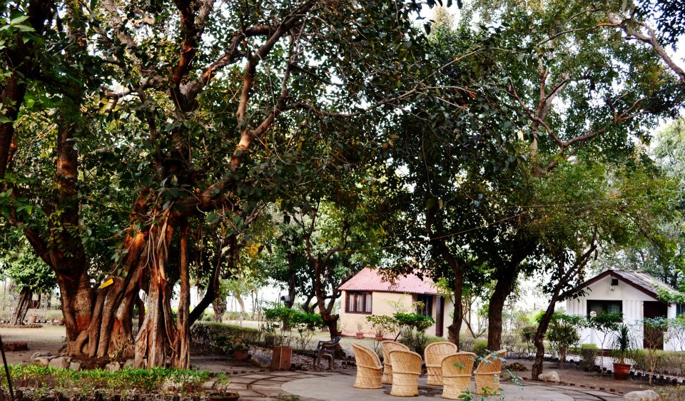 Jungle lora, jim corbett