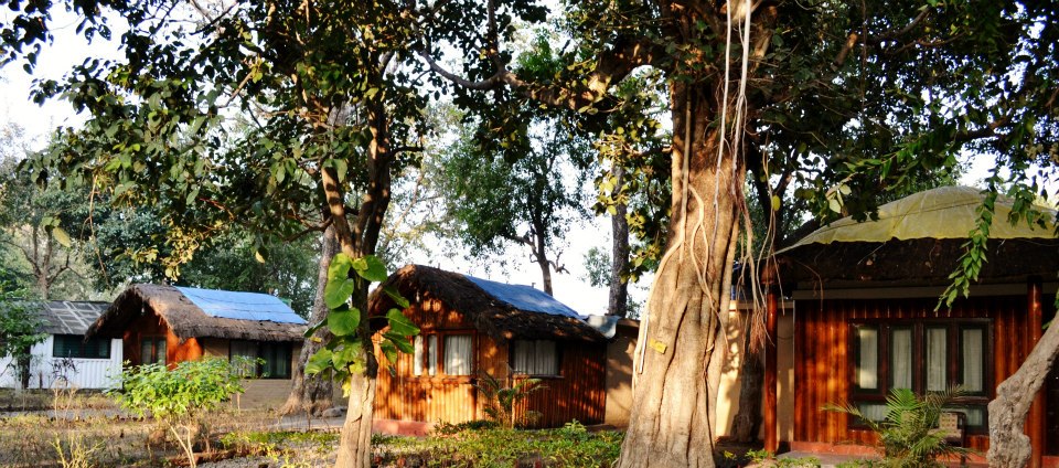 Jungle lore camp, Jim Corbett