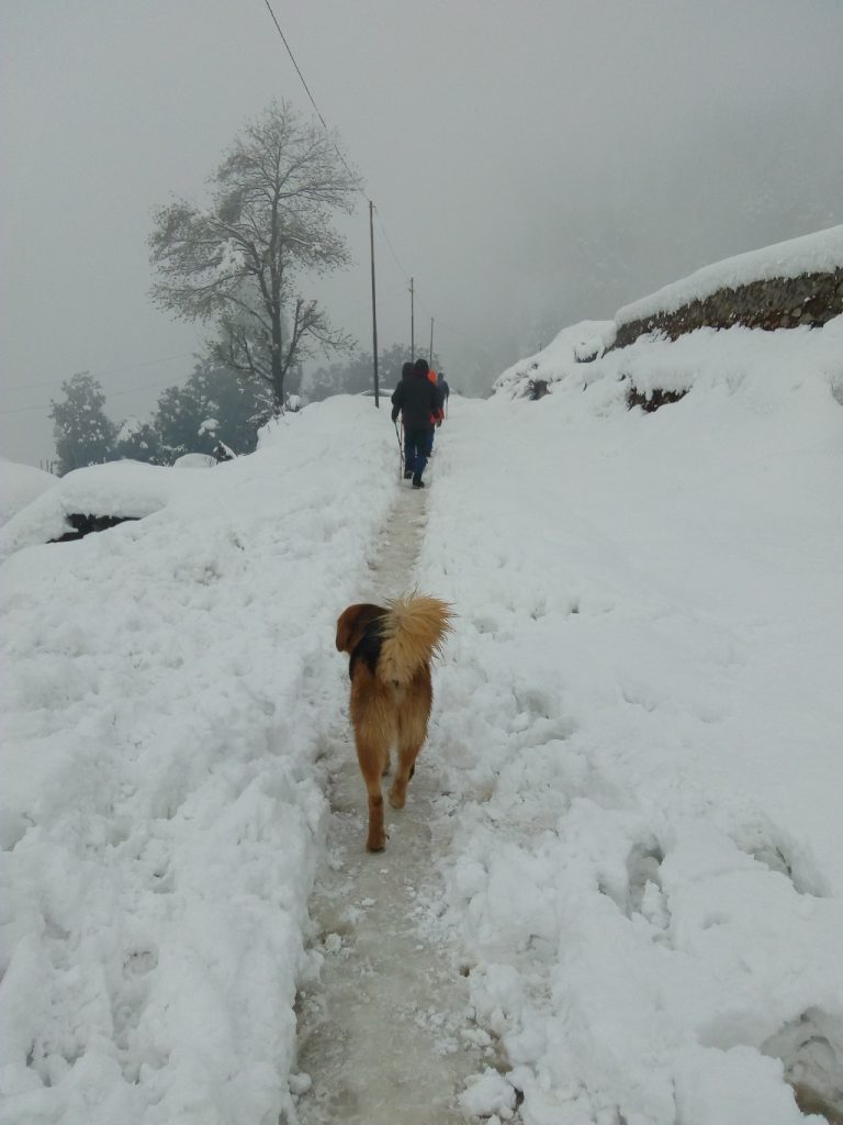 SANKARI BASE OF KEDARKANTHA TREK