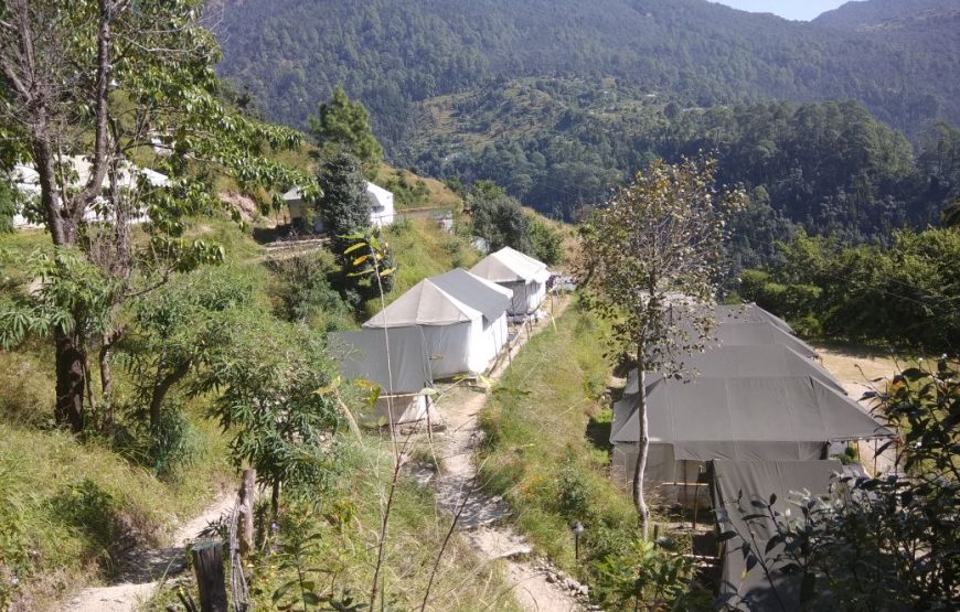 Camping in Pangot – Nainital