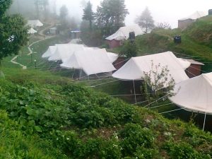 Utttarakhand Trip Trek:  camp site on kanatal