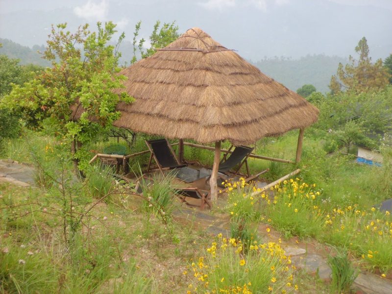 mukteshwar camping