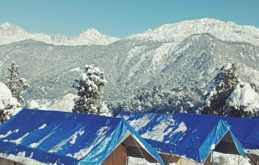 Camping in Chopta –  Mini Switzerland