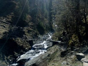 Utttarakhand Trip Trek:  supin river, trek to har ki dun