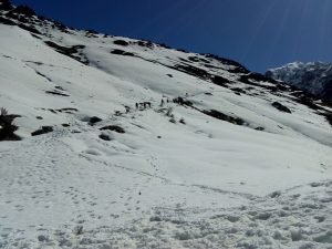 Utttarakhand Trip Trek:  trek to kalkatidhar, Har ki dun trek, Uttarakhand