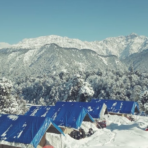 chopta camping