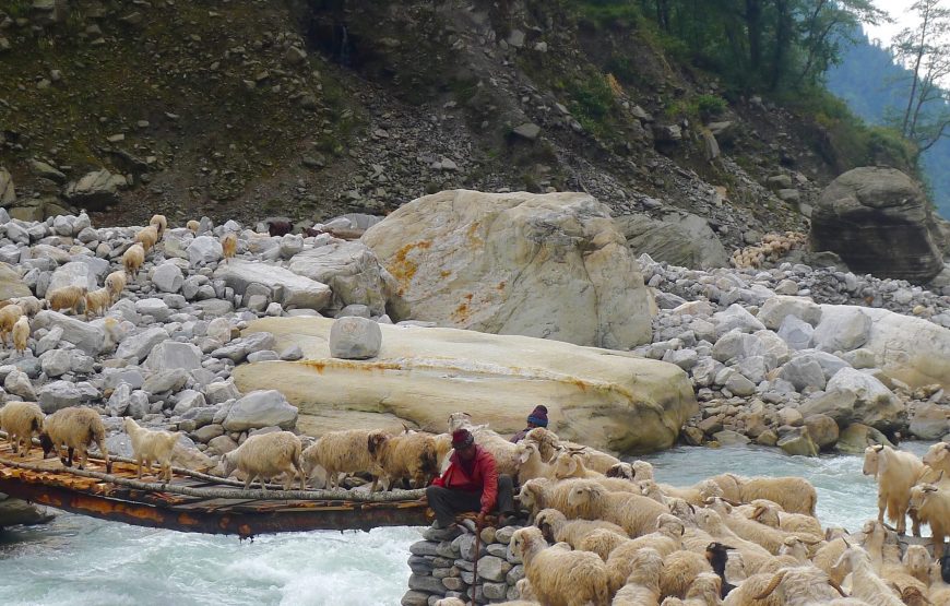 Pindari Glacier with Kafni Glacier Trek