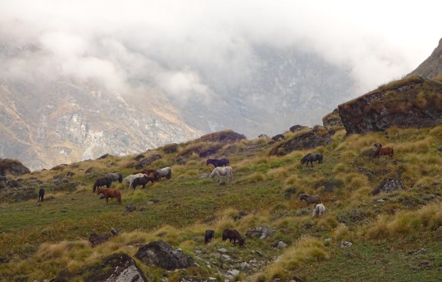 Sunderdhunga Trek