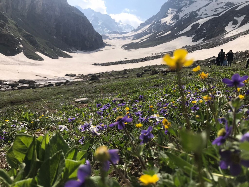 Utttarakhand Trip Trek: Hampta Pass Trek trekking hampta pass