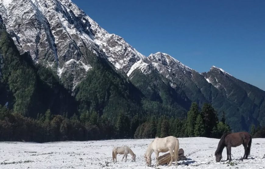 Buran Ghati Trek