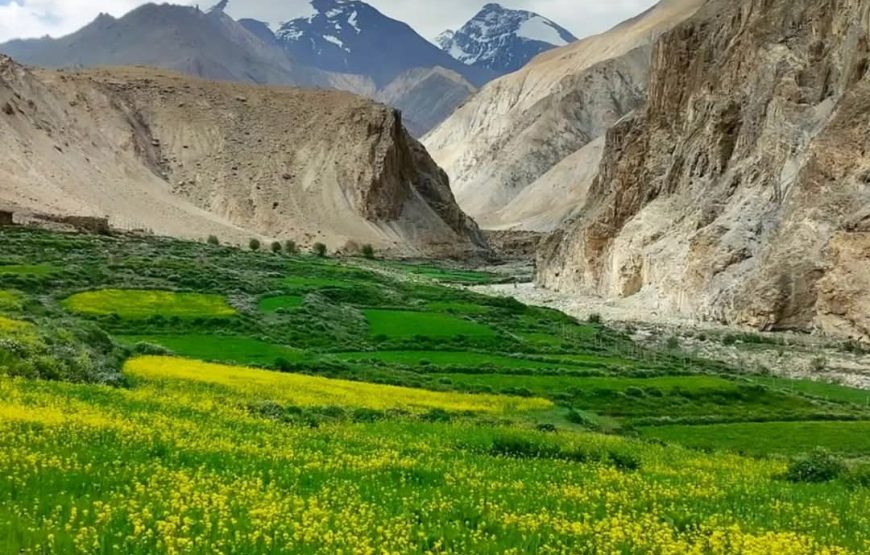 Markha Valley Trek