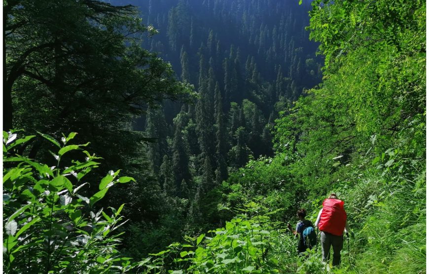 Prashar Lake Trek