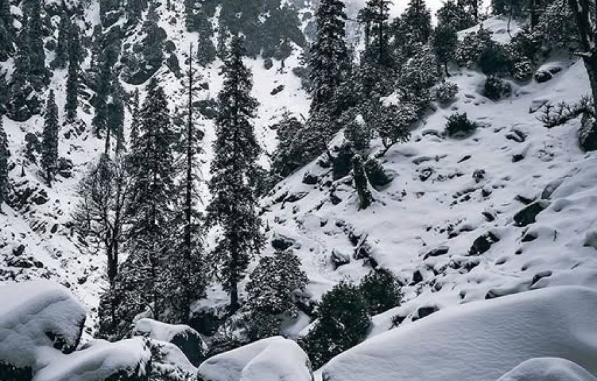 Prashar Lake Trek