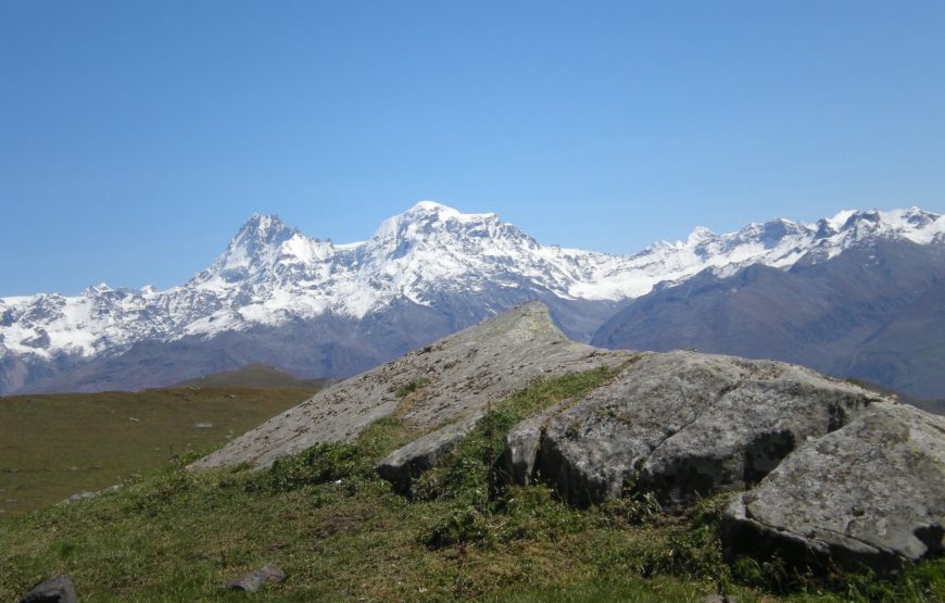 Triund Trek