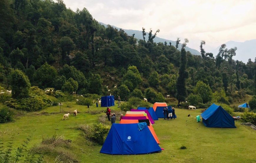 Triund Trek