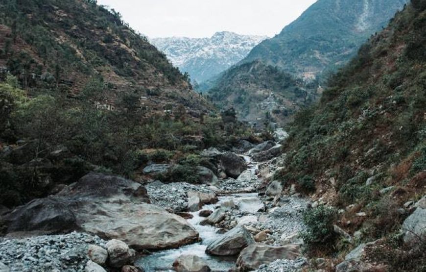 Triund Trek