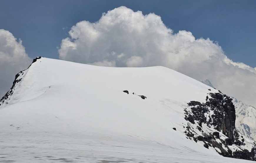 Panpatia CoL Trek