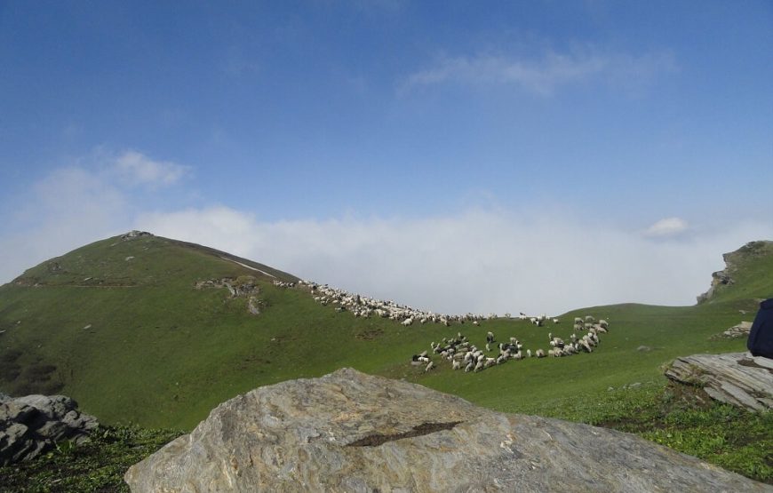 Chaainsheel Bugyul Trek