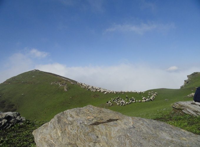 Chaainsheel Bugyul Trek