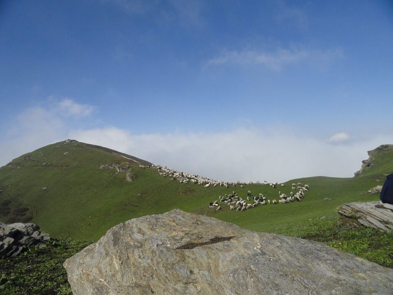 Chaainsheel Bugyul Trek