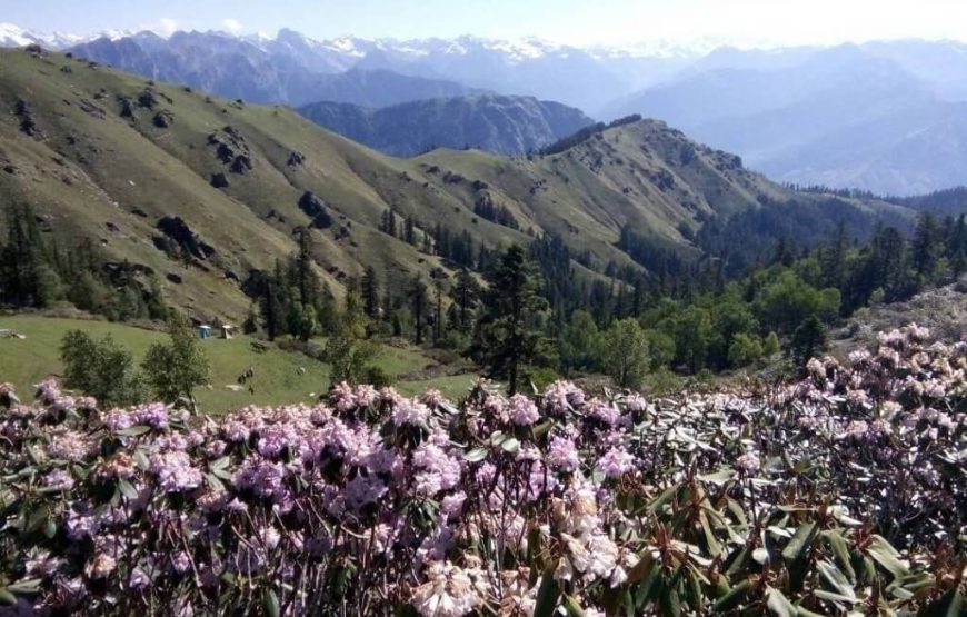 Chaainsheel Bugyul Trek