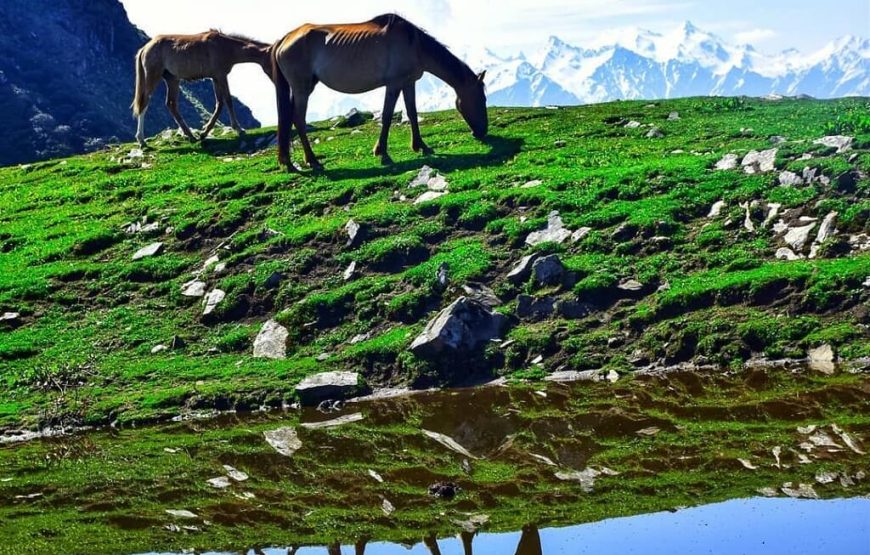 Chanderkhani Pass Trek