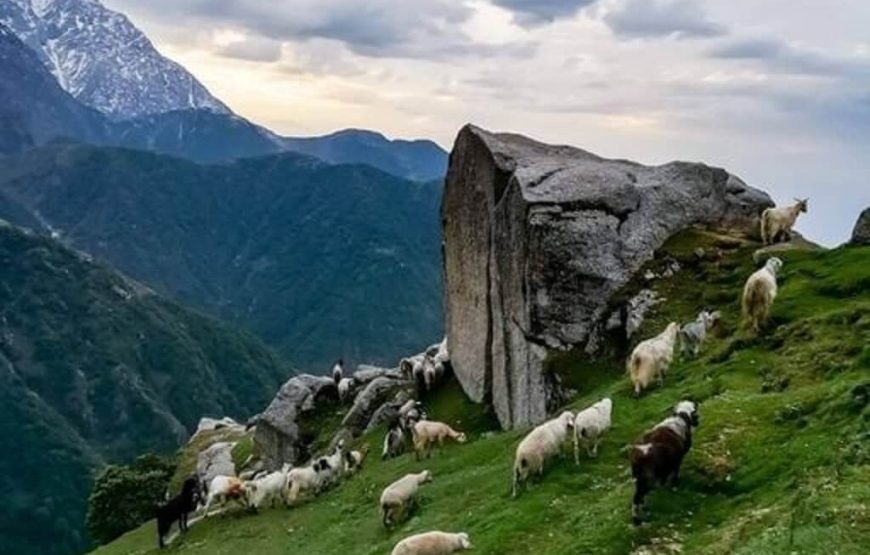 kangra valley trek