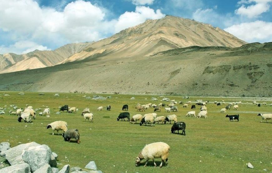 Thrilling Leh Ladakh Tour with Pangong Lake