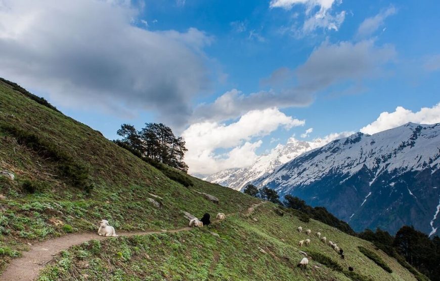 Malana Village Trek