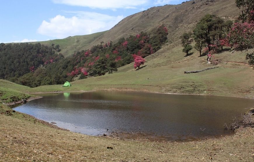 Bagji Bugyal trek