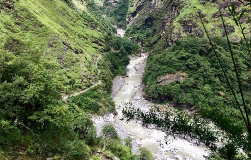 Milam glacier trek