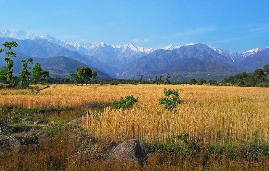 kangra valley trek